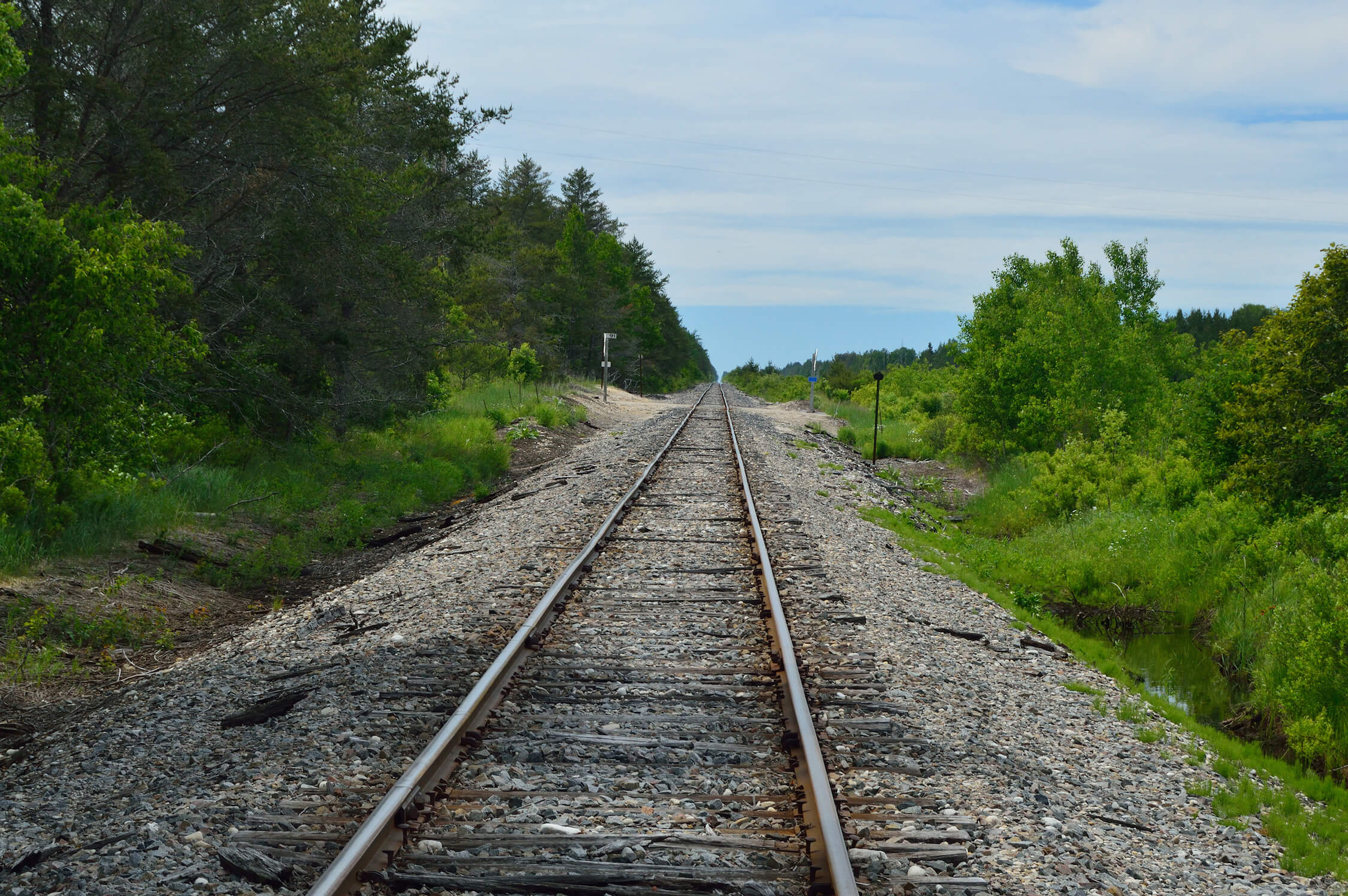 A railroad track extending into the distance, surrounded by greenery.